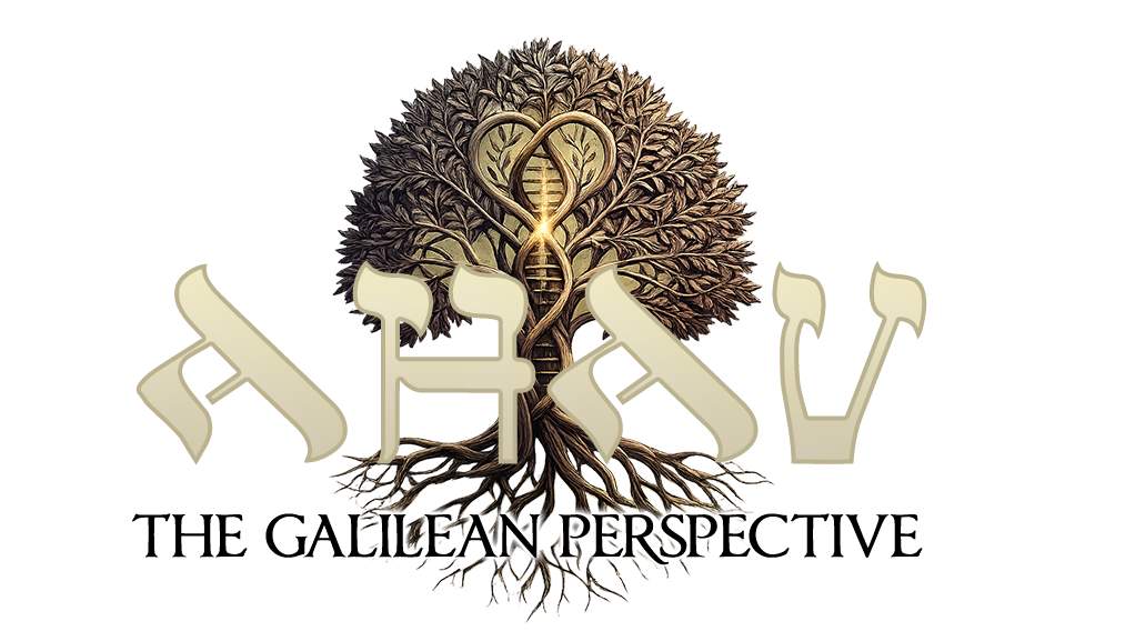 AHAV New Testament logo while bkgrd